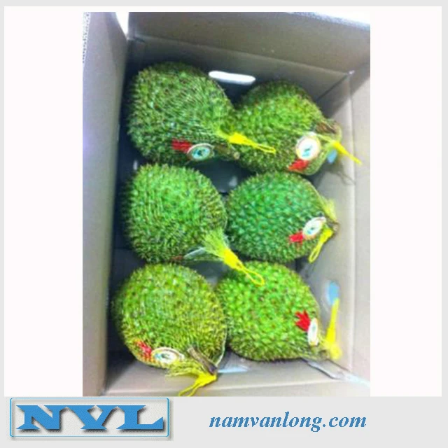 
TOP QUALITY! OFFER FRESH RI6 DURIAN FRUIT WITH HIGH QUALITY AND BEST PRICE 