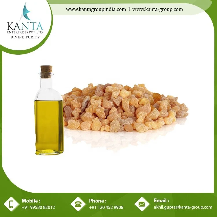 Standard Quality Aromatherapy Properties Frankincense Oil at Wholesale Price from Indian Supplier
