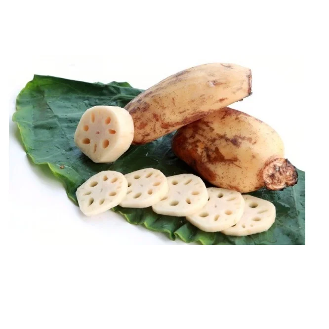 Viet Nam lotus root fresh frozen