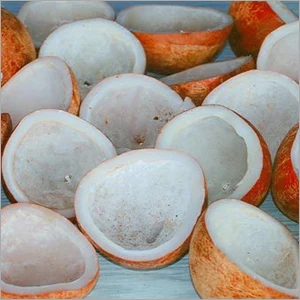 Good Quality Coconut Copra / Dried Coconut (Sundried Copra)