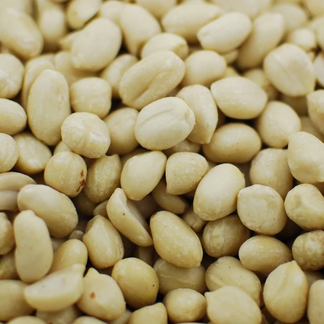 Roasted Peanut Kernel