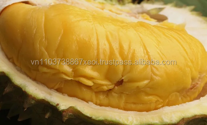 Wholesale for fresh durian with the highest export quality Ms Holiday +84 845 639 639
