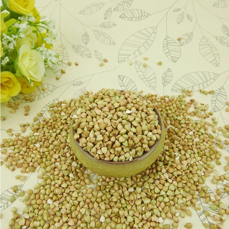 Top Quality Buckwheat Seed  for sale in wholesale price