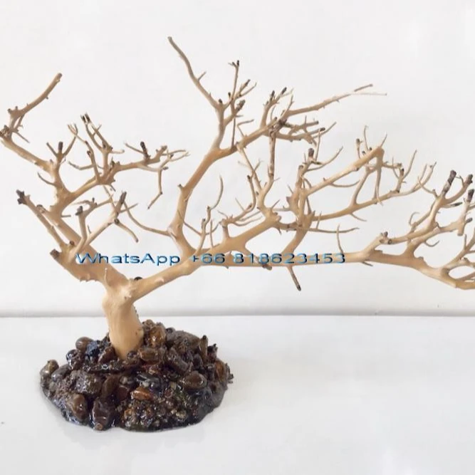 Aquarium Bonsai Driftwood
