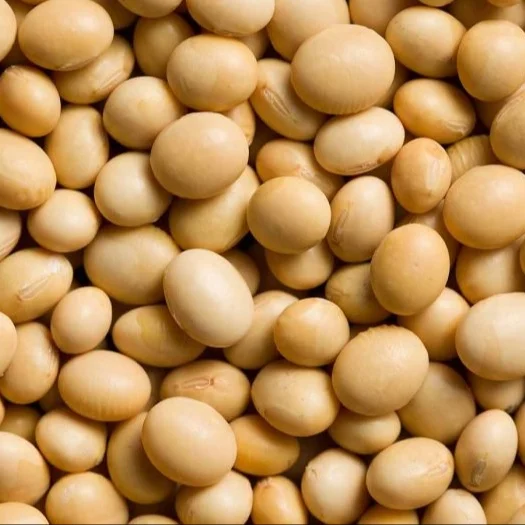 Organic Soybean