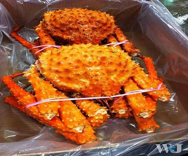 Crab, Fresh Frozen and Live Mud Crabs Red King Crabs Soft Shell Crabs , Blue Crab