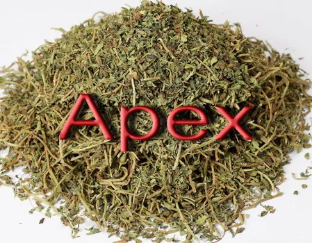 Bacopa Monnieri Bacopa Jal Brahmi Whole Plant dried Bramhi Herb