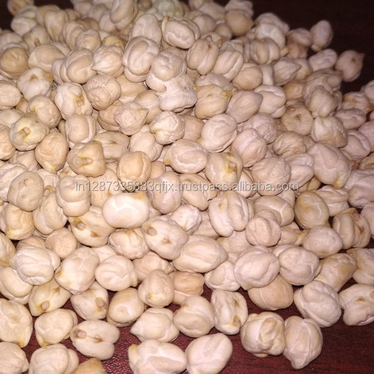 Dry Indian White Chick Peas High Protein / Kabuli For Bulk Wholesale