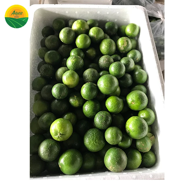 LOW PRICE - SOUR SEEDLESS LEMON FROM VIET NAM