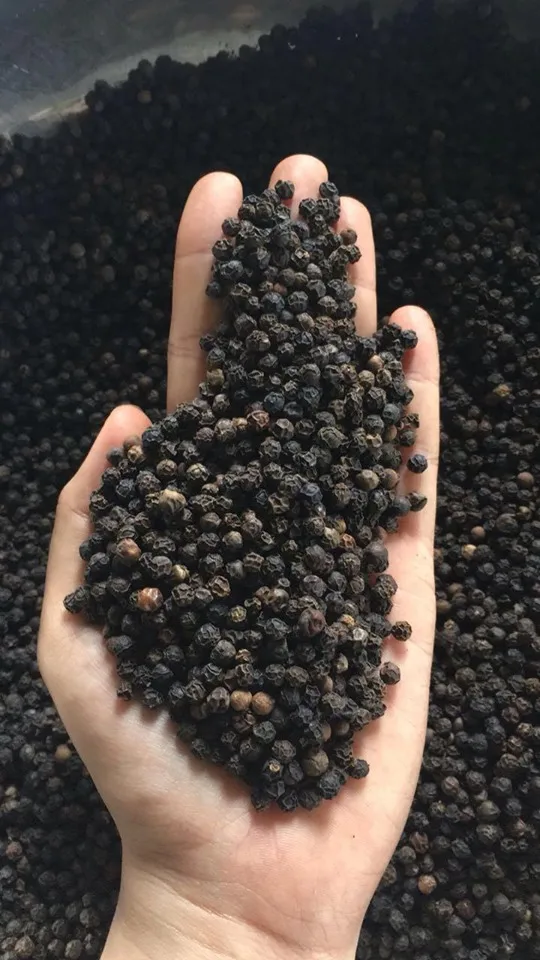 DRIED BLACK PEPPER 550/560/570/580GL ORIGINAL FROM VIETNAM
