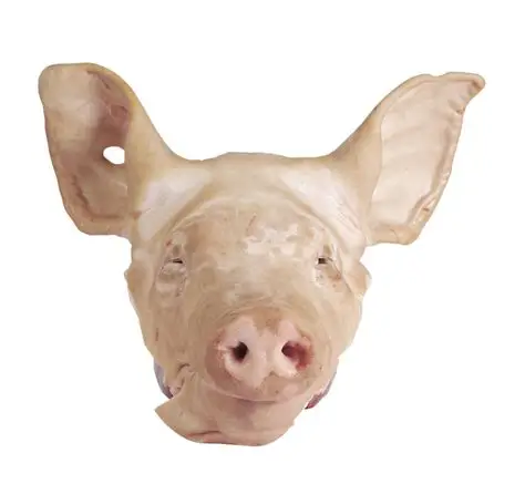  FROZEN PORK TAIL BRAZIL ORIGIN TONGUE THROAT SNOUT SKIN