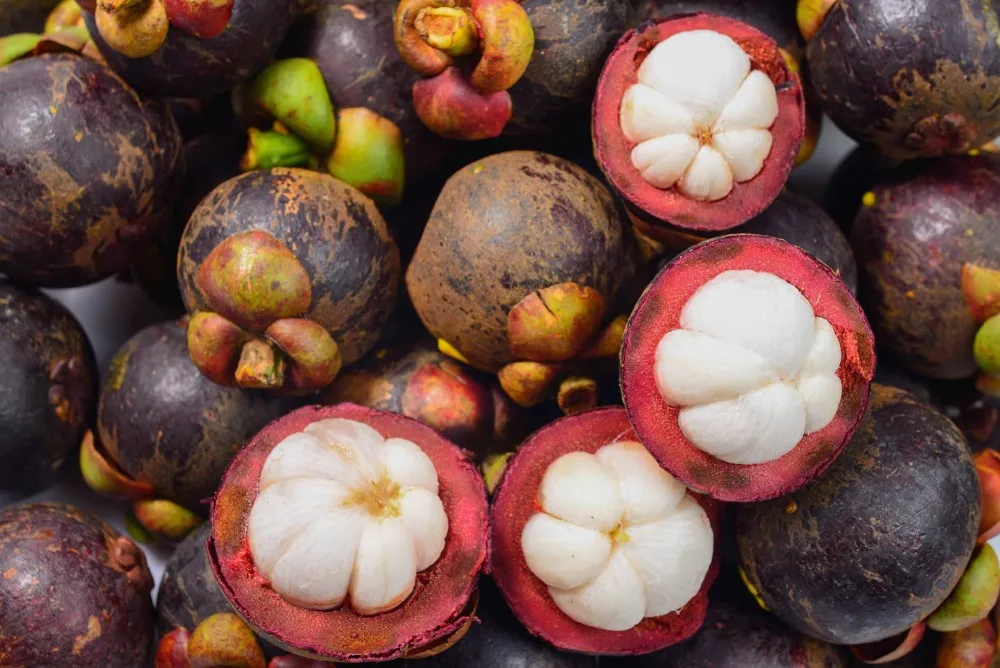 VIET NAM IMPORT MANGOSTEEN/ FRESH MANGOSTEEN WHATSAPP+0084 845 639639