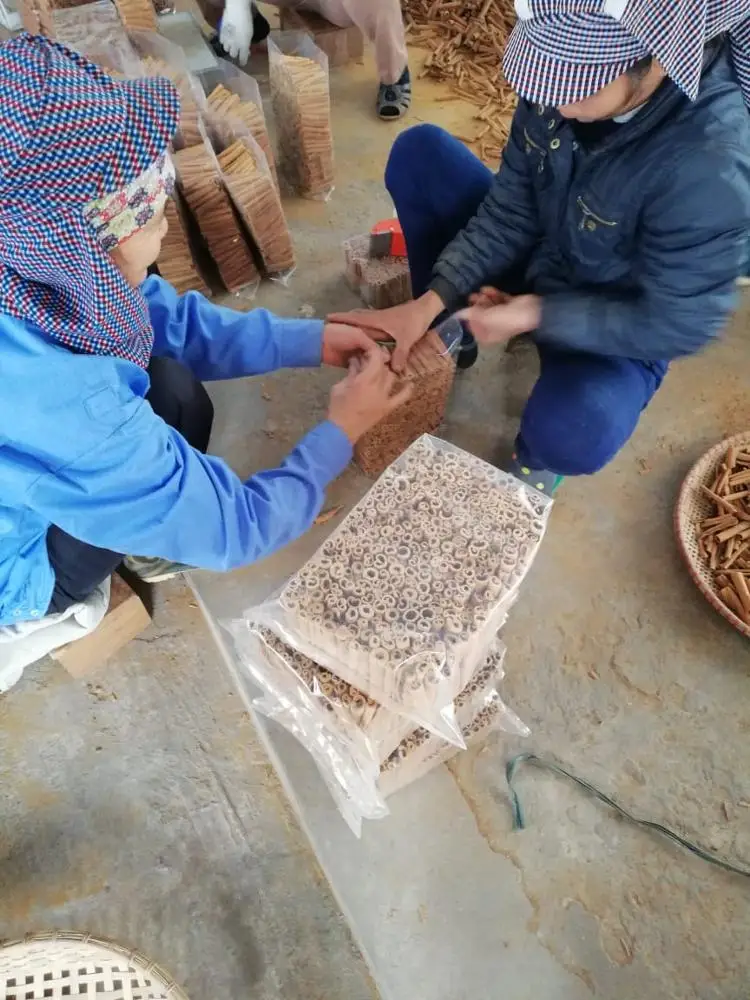 Vietnam Whole Cinnamon 8-20 Cm High Roll Rate High Oil Content Good Smell
