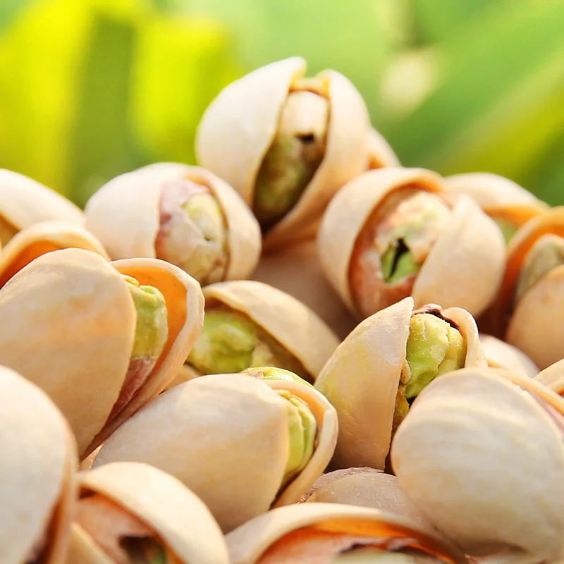 Light half walnuts raw premium prices pistachio nuts wholesale