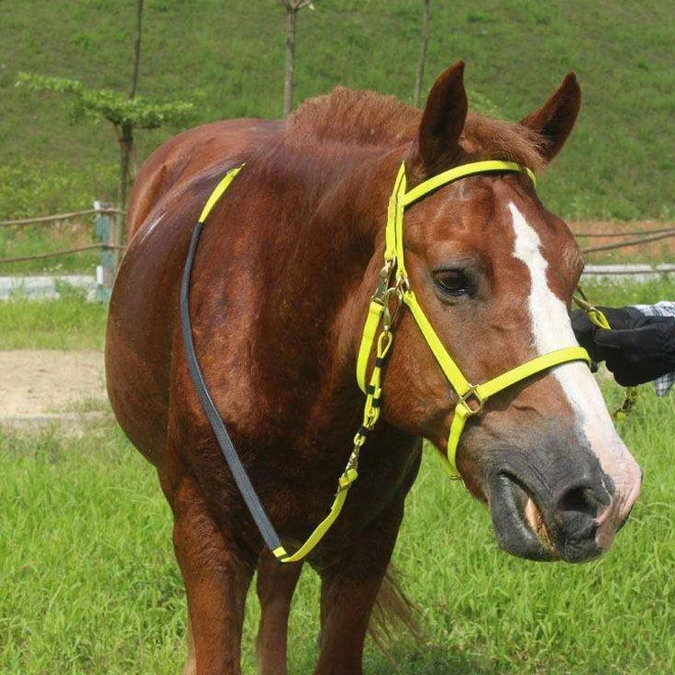 Холтер из ПВХ с разными цветами