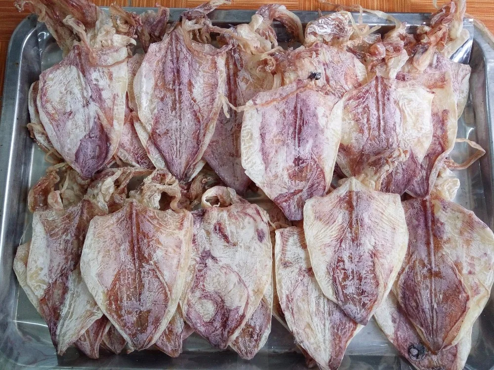 Dried and Frozen baby Octopus Cheap Price/ high quality (whatsapp +84 845 639 639)