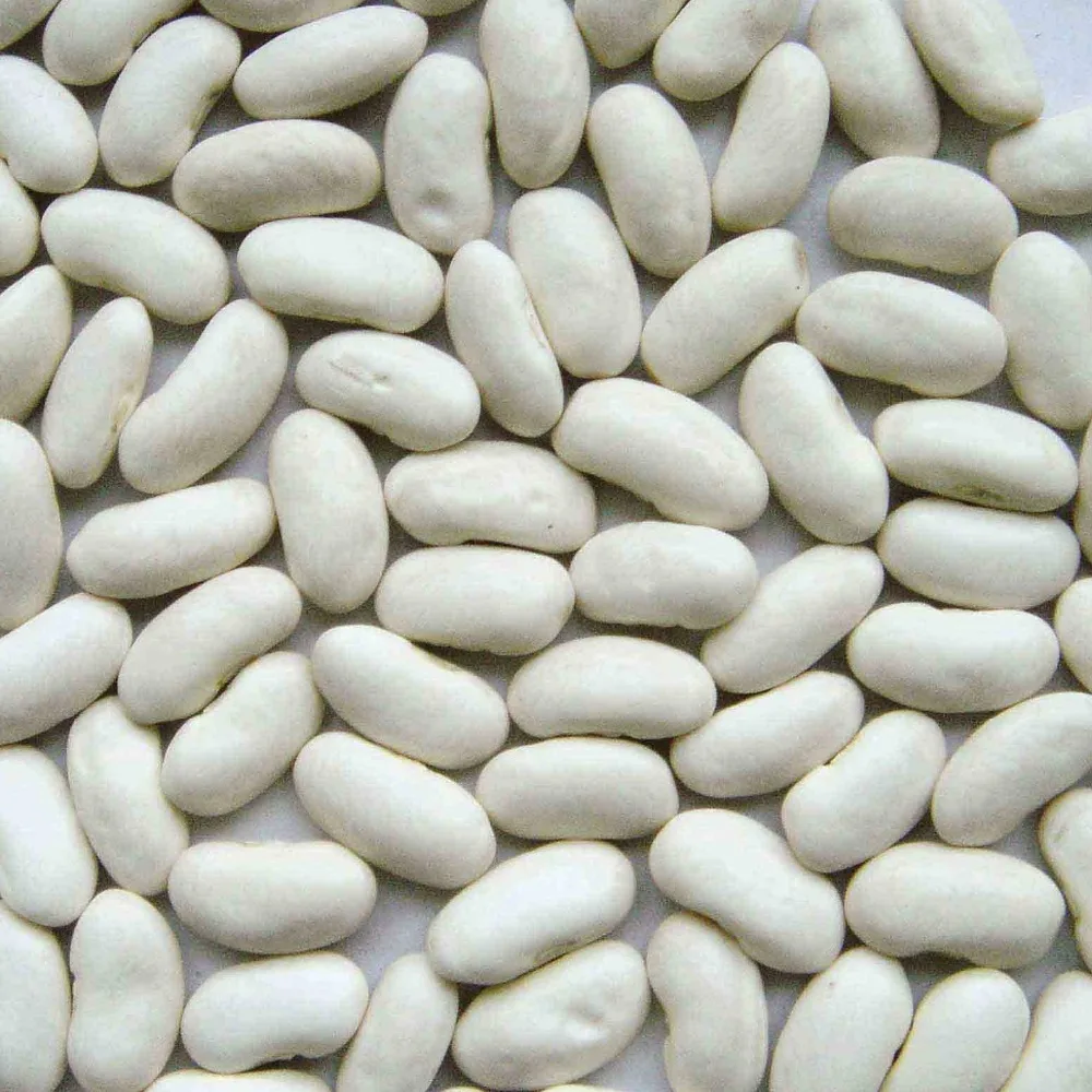 White kidney beans / Red kidney beans / Light Speckled Kidney Beans
