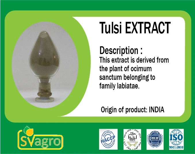 Water soluble Holy Basil Tulsi Ocimum tenuiflorum  tulasi Ocimum Sanctum Extract manufacturing herbal extract from india
