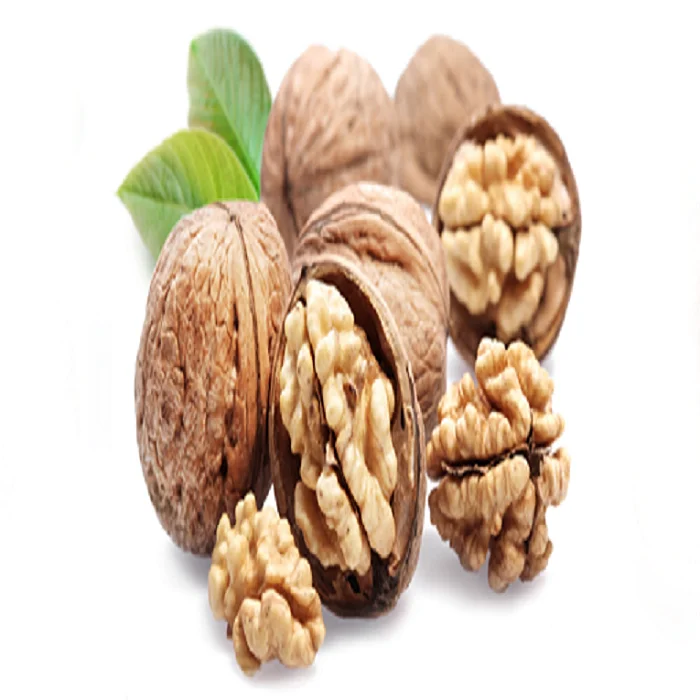 High Quality Walnut Kernel Without Shell