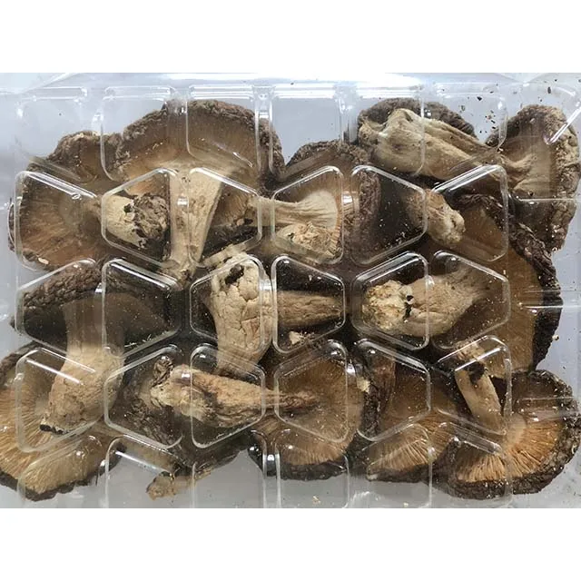 
Rare Whole Part Cultivated Dried mushroom JAS shiitake for longevity secret 