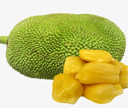 FROZEN JACKFRUIT WITH BEST PRICE AND QUALITY / VIETNAM WHOLESALE 2023 / NEW CROP - WHOLESALE FROM NAVALO