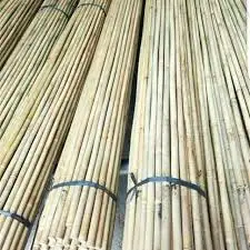 wholesale for Cheap Natural Dry Raw Bamboo Poles/Sticks/Canes