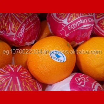 fresh Valencia orange ready to export on August from Egypt to South Africa