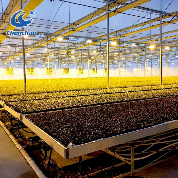 Ebb and Flow Trays Grow Tables Greenhouse Rolling Bench