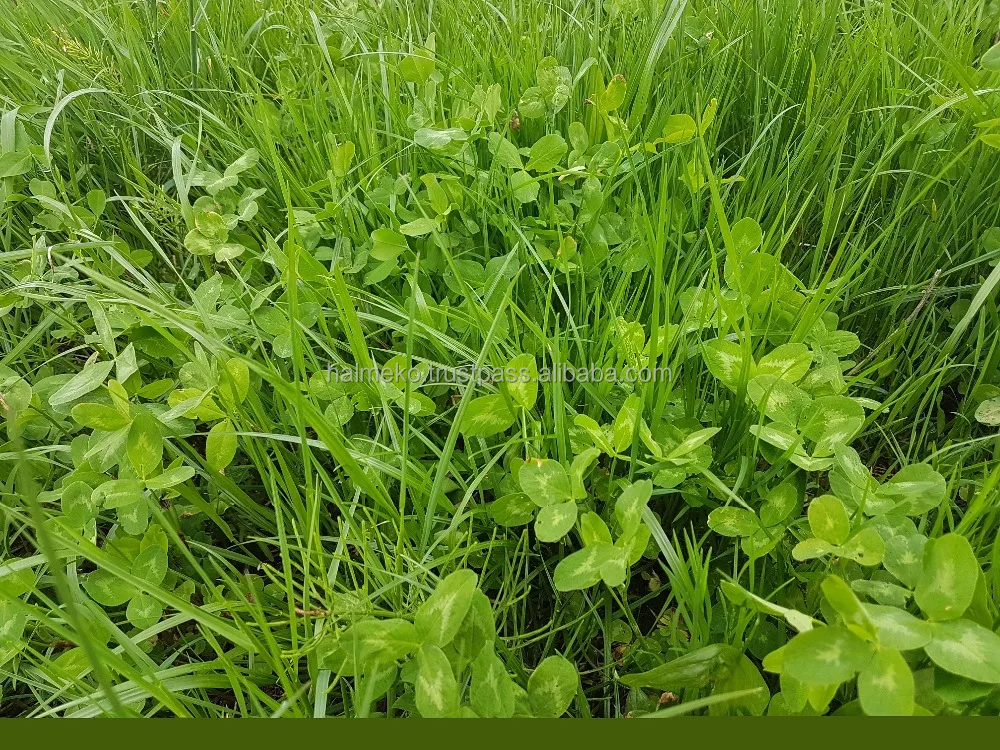  Высококачественные кормовые гранулы для коров от производителя grass mix