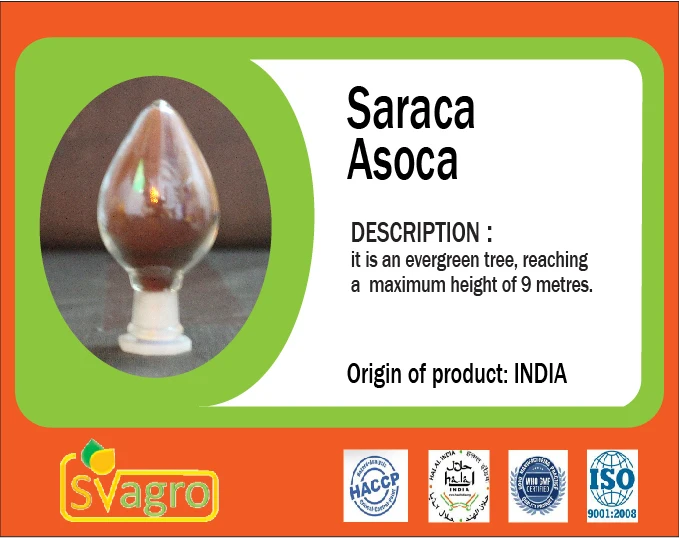 Saraca indica Extract Ashoka Bark Extract Ashok Asoca