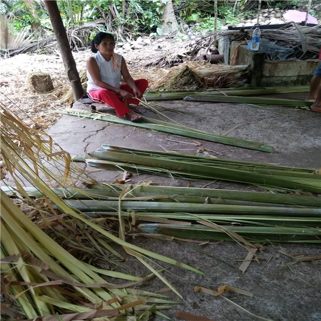 Philippine and Madagascar raffia grass nature fiber wall paper  material making used for hat or flower packing