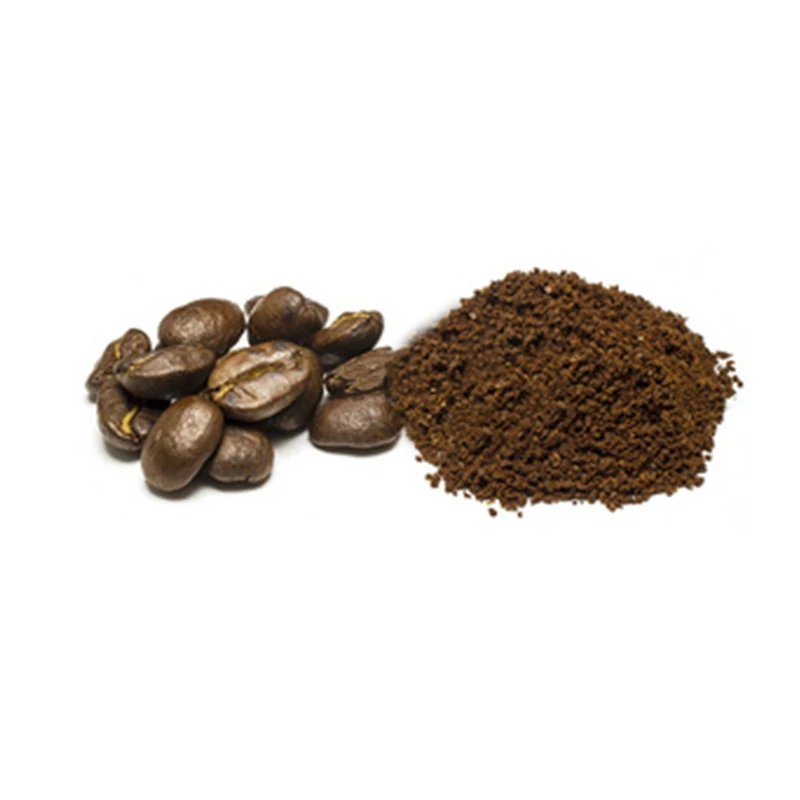 
High Quality Coffee Beans From Arabia Wholesale 