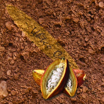 
Cacao XP Cacao Powder Blend Eu compliant 