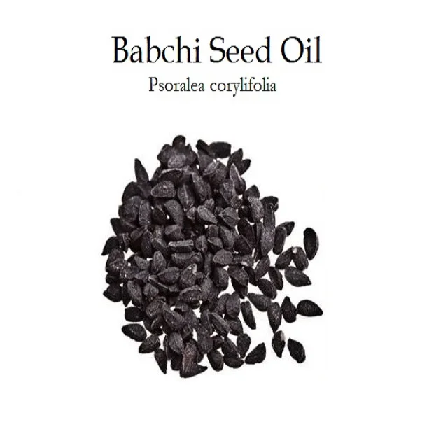 Well Supplier of Babchi Seed Carrier Oil in India