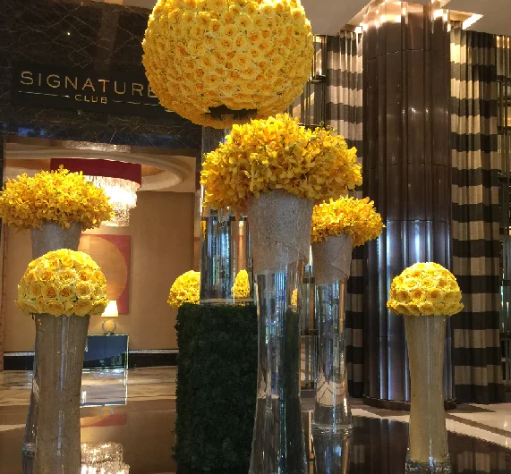 
Wholesale Yellow Mokara Thai Orchid Cut Flower, Fresh from farm @ Best price try us!! 