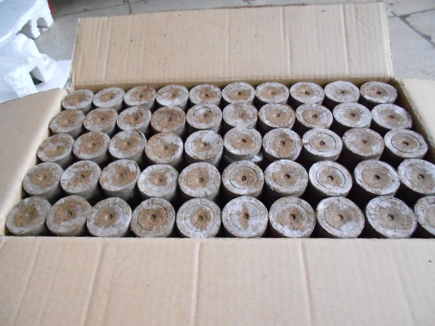 coir plug for indoor plants