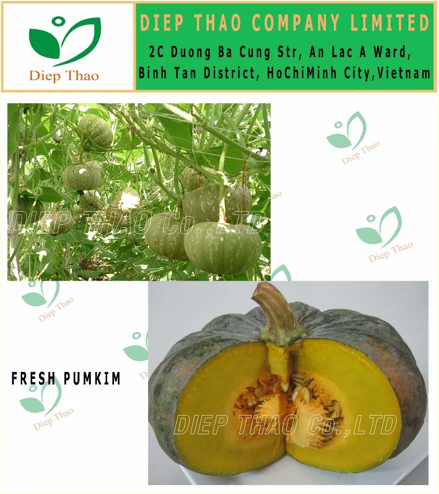 
NATURAL FRESH PUMPKIN FOR EXPORT 