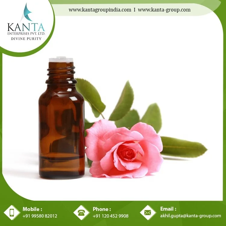 Bulk Supply 100% Pure Rosewood Essential Oil  Aromatherapy Essential oil At Low price