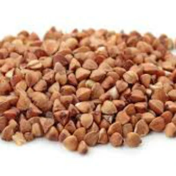 
Natural Roasted Buckwheat For Sell  (50031410219)