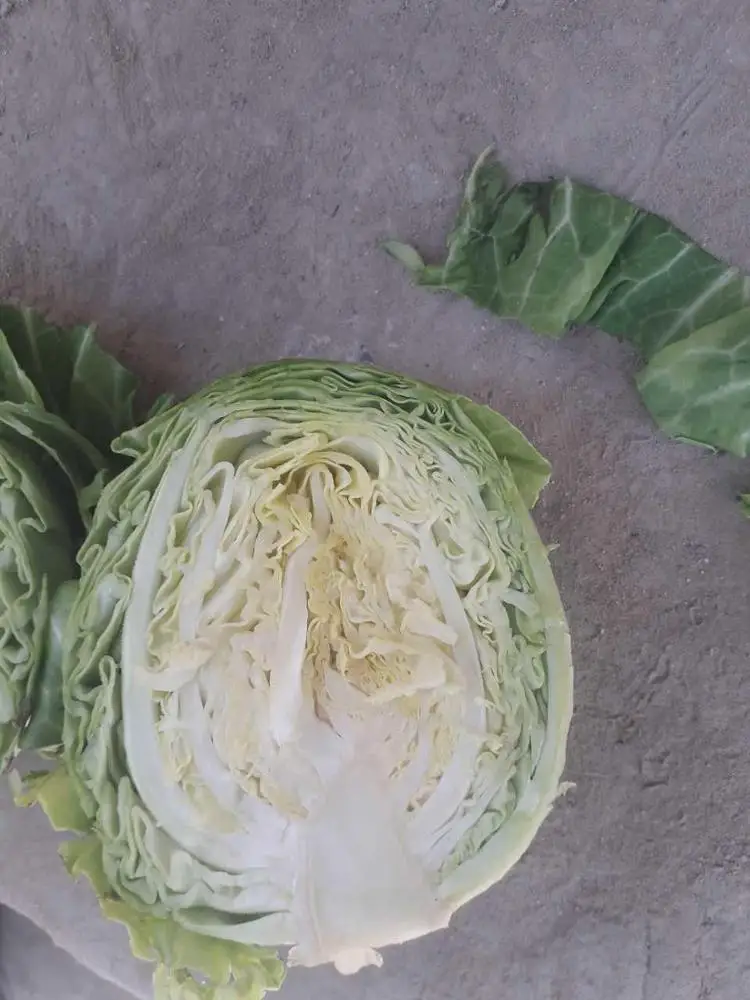 Fresh Cabbage