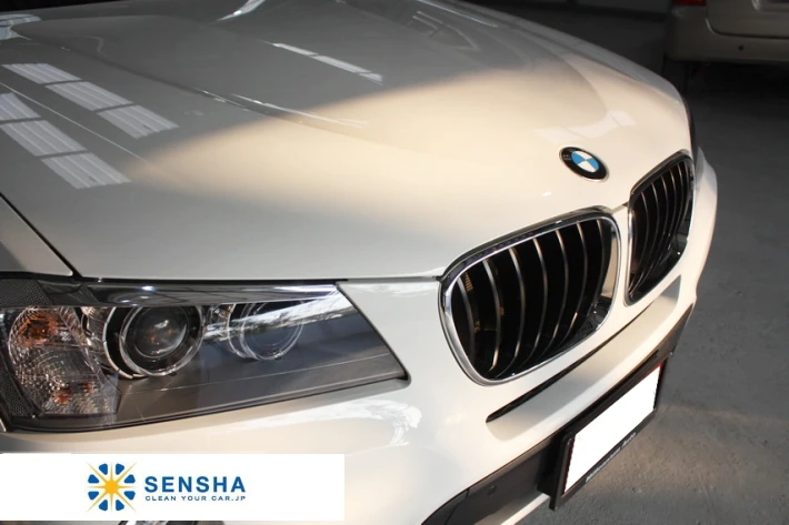 Tough water stain remover SCALE CLEAN (strong) 20L by SENSHA