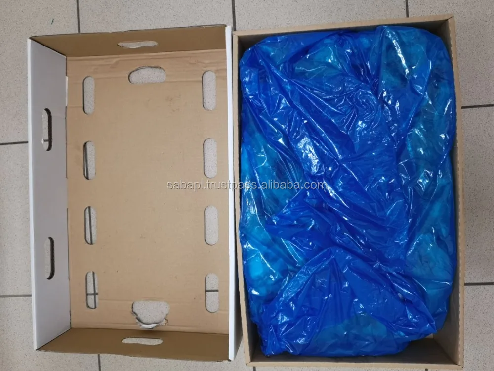 Hot Sale Bulk B grade Frozen Large Chicken Wings