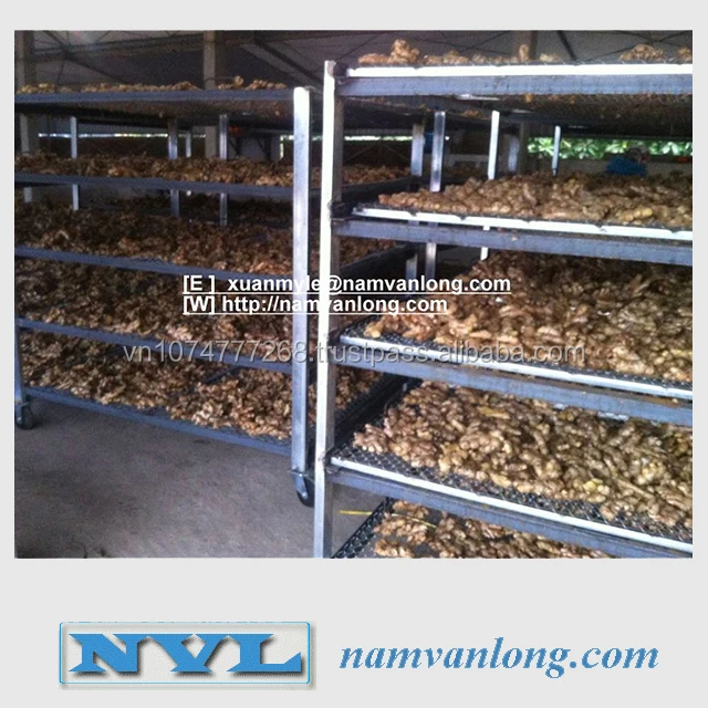  Поставка свежего имбиря/замороженного имбиря по лучшей цене