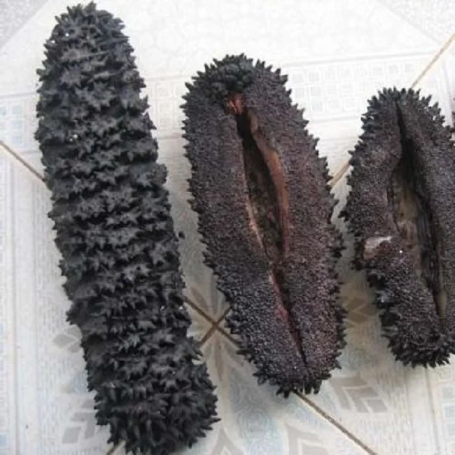 vietnam dried sea cucumber