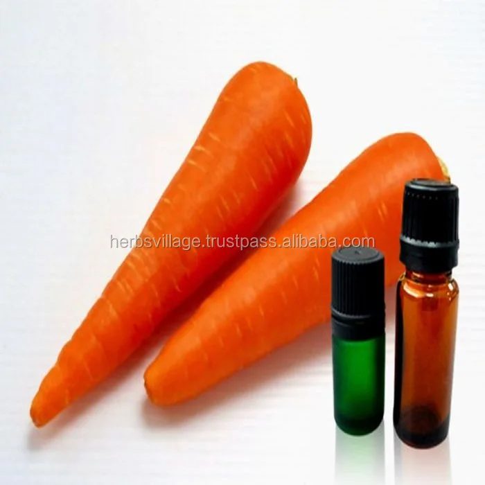 wholesale pure carrot seed oil Therapeutic Grade Essential Oil OEM/ODM