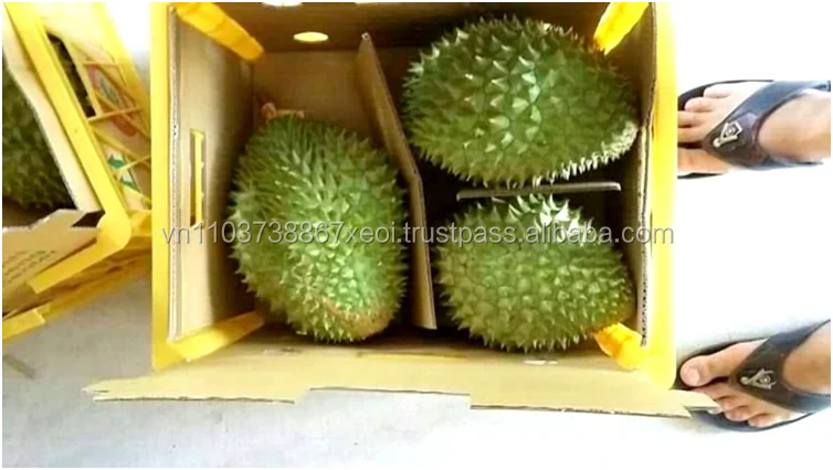 
IQF DURIAN MEAT SUPPLIERS VIETNAM in 2020 
