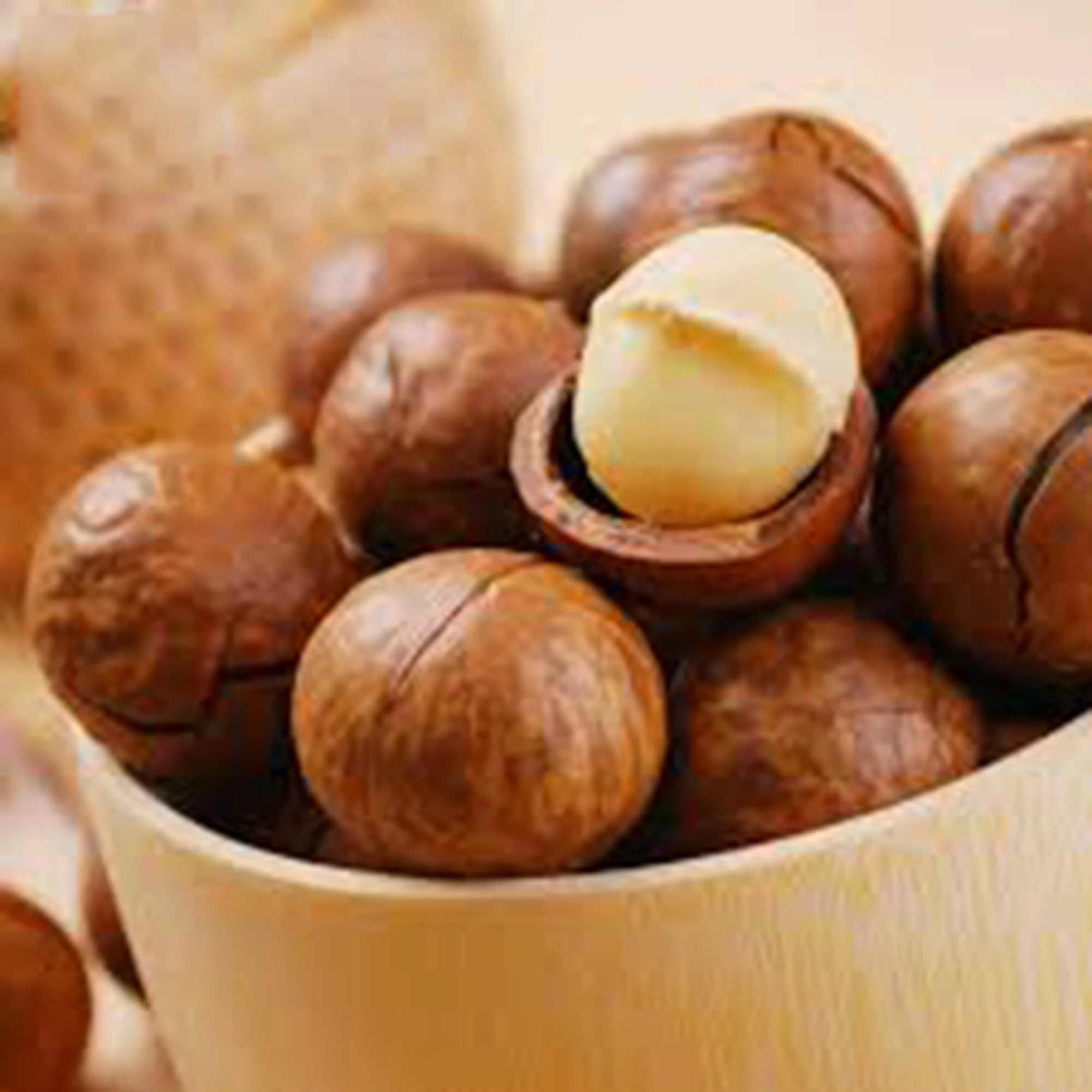 Macadamia nuts wholesale Best price high quality +84 845 639 639