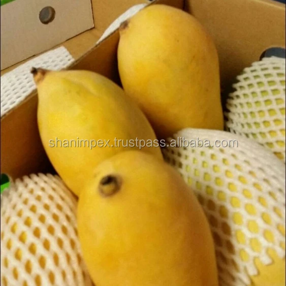 
Pakistani Mango Fresh Sindhri Chaunsa 