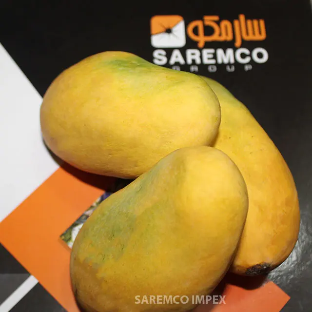 
Top Quality Mango Supplier From Pakistan 