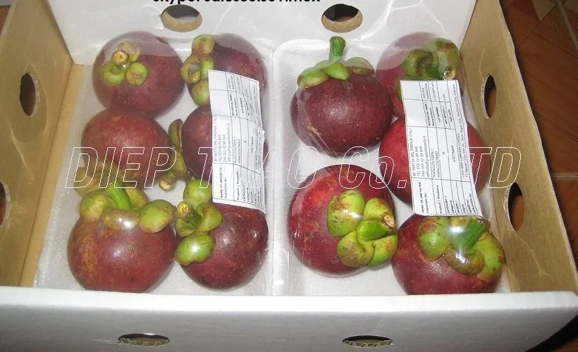 
VIETNAM FRESH FRUIT MAGOSTEEN FRUIT 